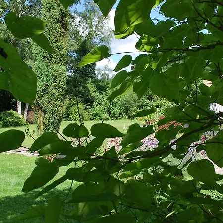 La Monardiere Modave